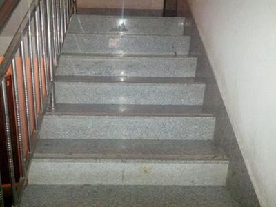 【招遠皓巖】招遠珍珠花價格 招遠珍珠花批發(fā) 招遠珍珠花廠家圖片|【招遠皓巖】招遠珍珠花價格 招遠珍珠花批發(fā) 招遠珍珠花廠家產品圖片由招遠市皓巖石材公司生產提供-